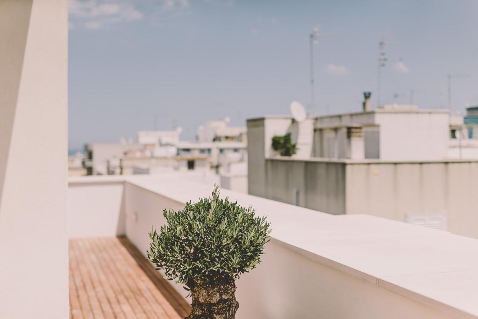 Cinquevite Bed & Breakfast Polignano a Mare